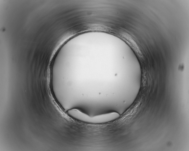 X0000098080804200805021020