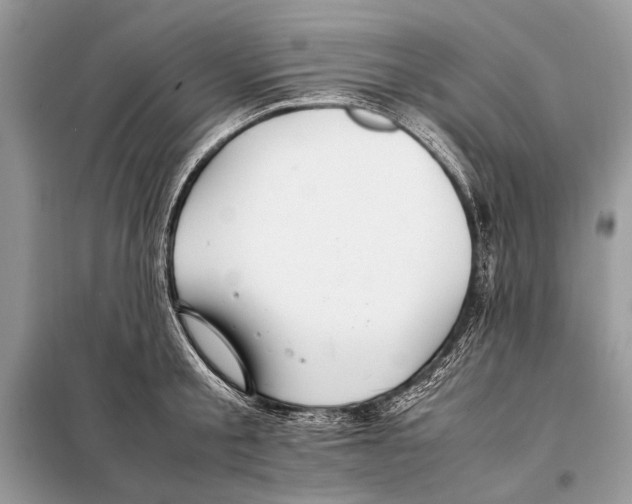 X0000098080805200805021020