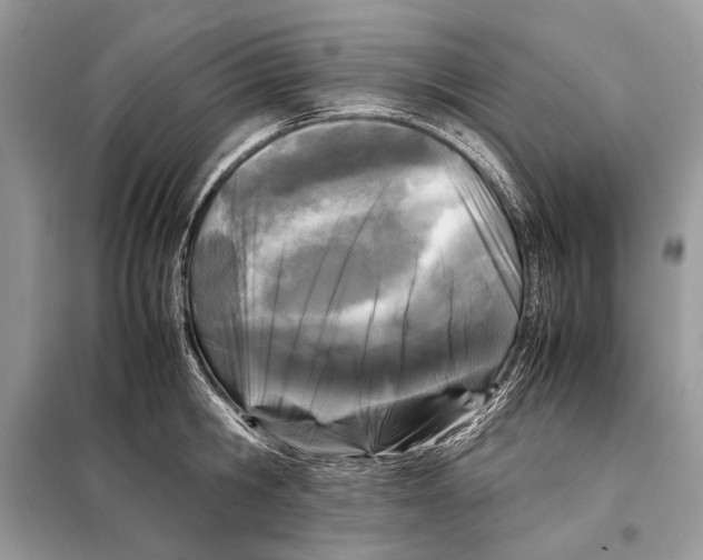 X0000098080806200805021020
