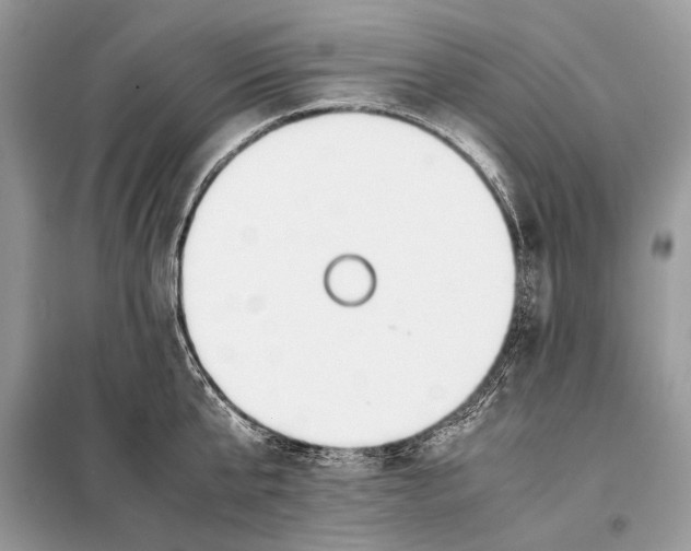 X0000098080807200805021020