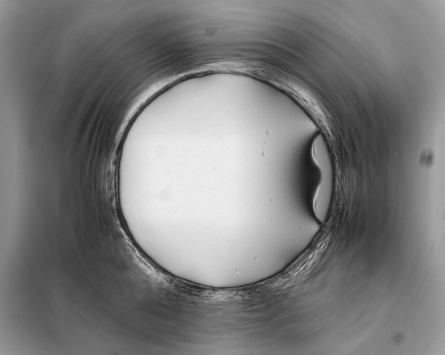 X0000098080808200805021020