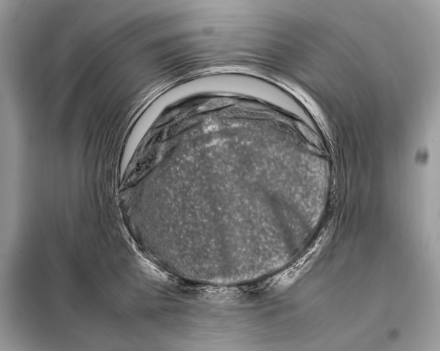 X0000098080809200805021020
