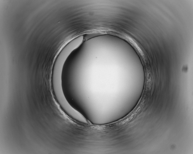 X0000098080810200805021020