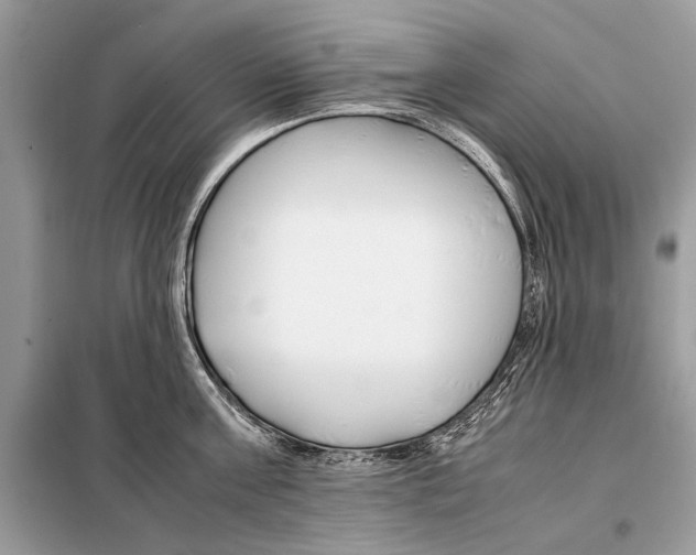 X0000098080811200805021020