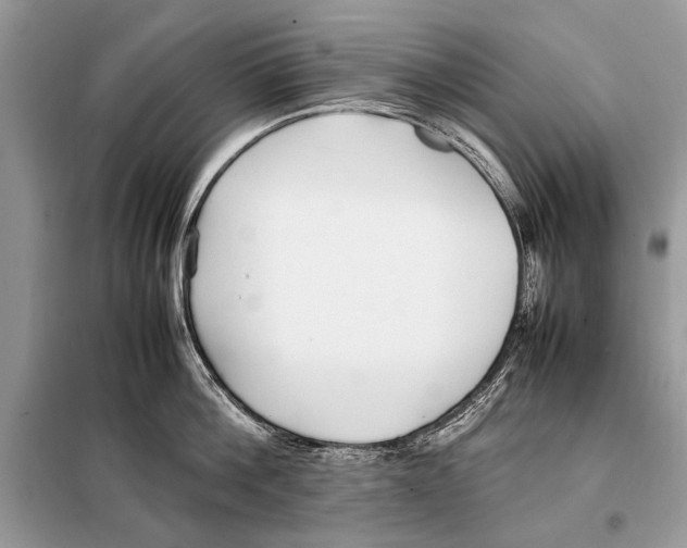 X0000098080812200805021020