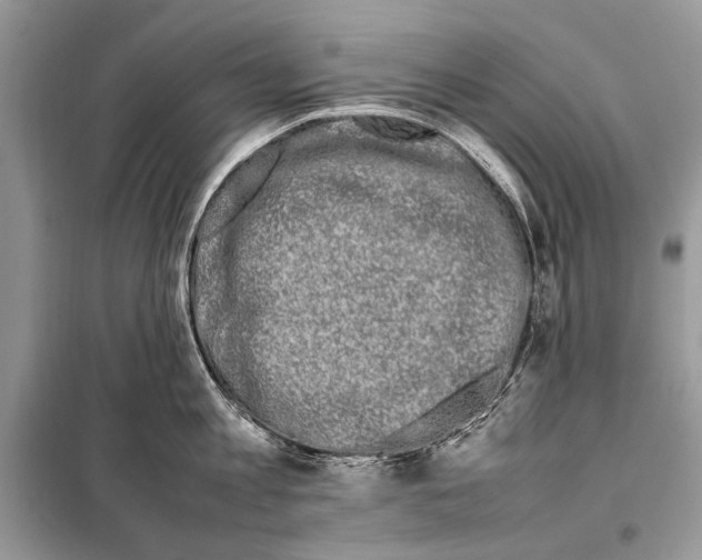X0000098080813200805021020