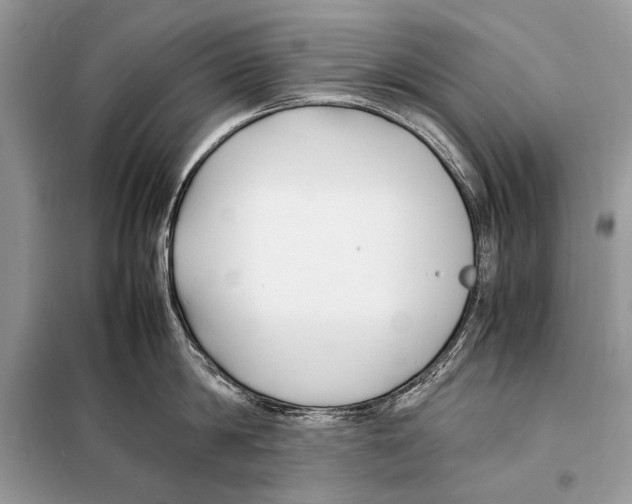 X0000098080814200805021020
