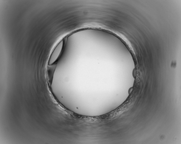 X0000098080815200805021020