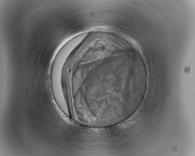 X0000098080816200805021020