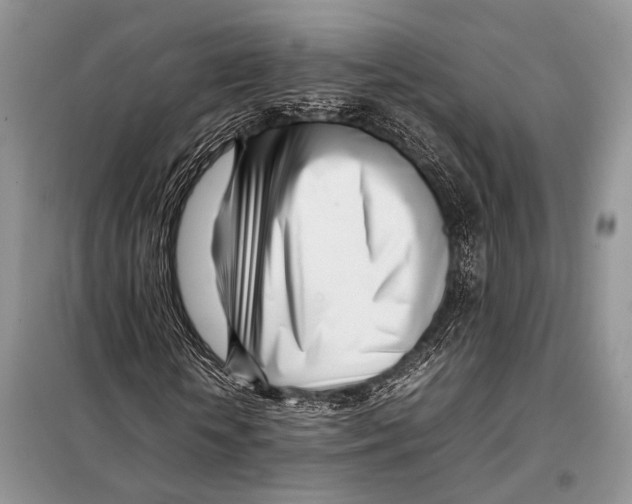 X0000098080818200805021019