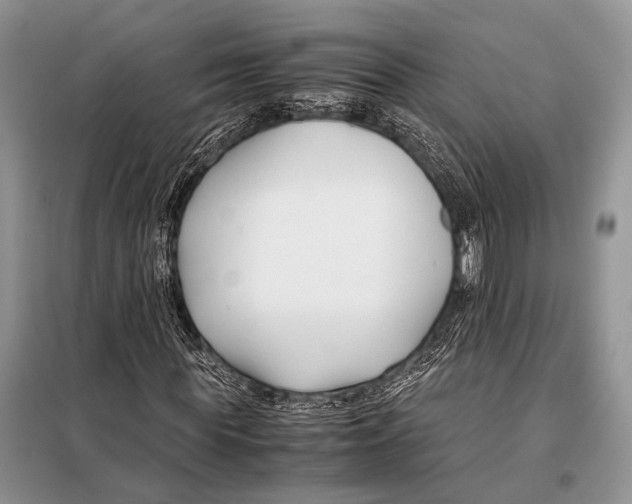 X0000098080819200805021019