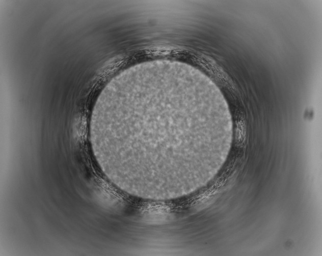 X0000098080820200805021019