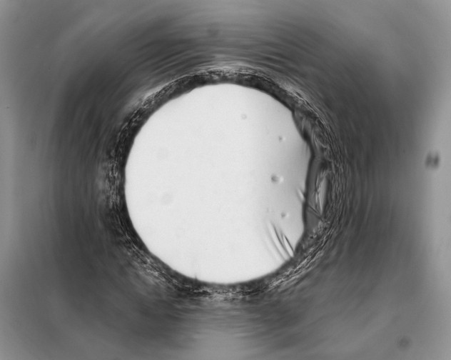 X0000098080822200805021019
