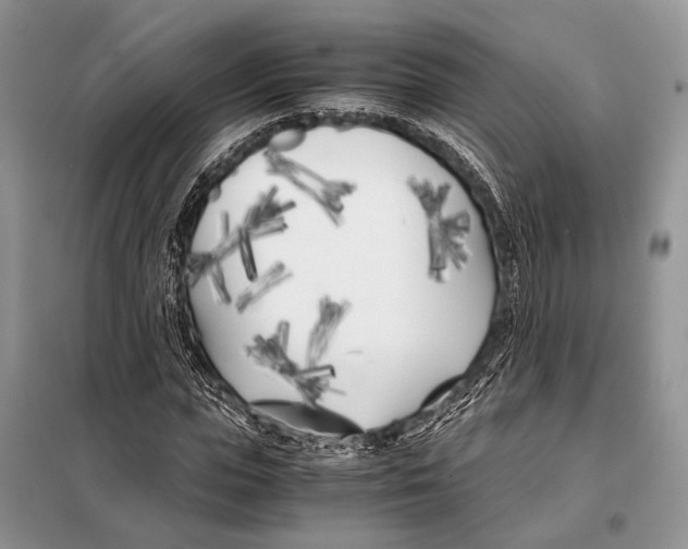 X0000098080823200805021019
