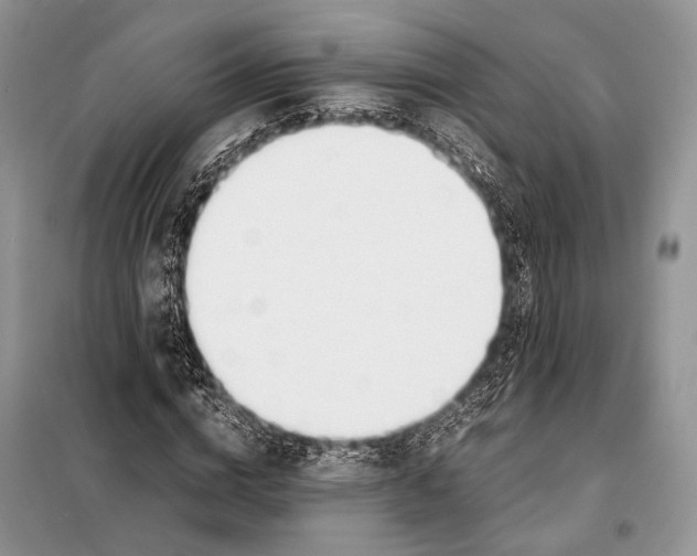 X0000098080824200805021019
