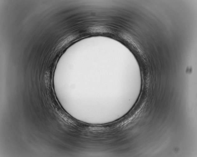 X0000098080825200805021019
