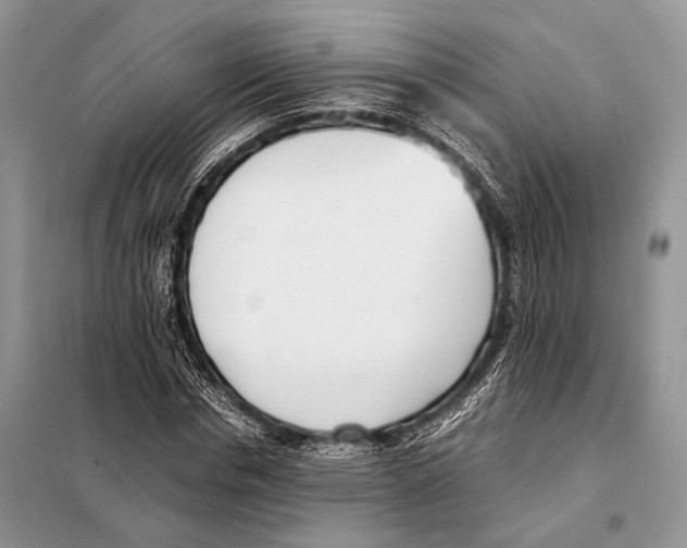 X0000098080826200805021019