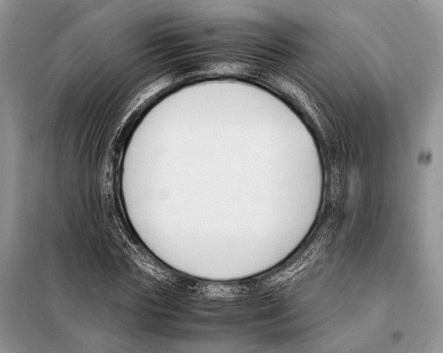 X0000098080827200805021019