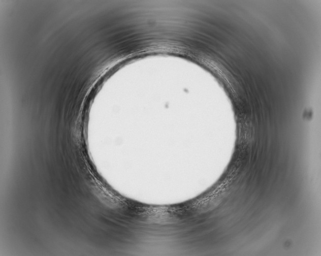X0000098080828200805021019