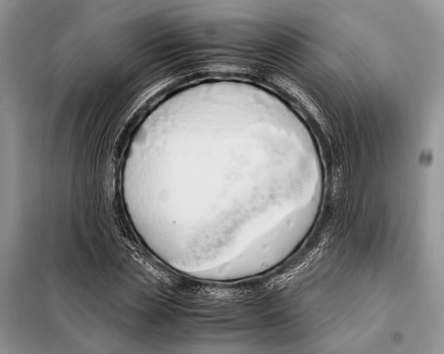 X0000098080829200805021019