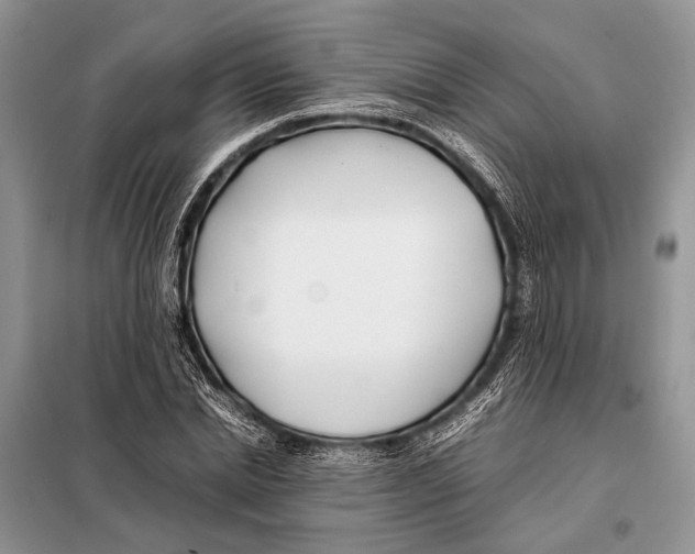 X0000098080830200805021019