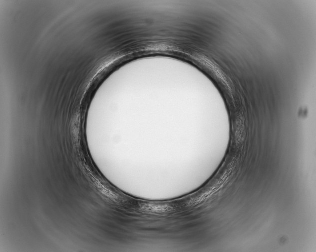 X0000098080831200805021019