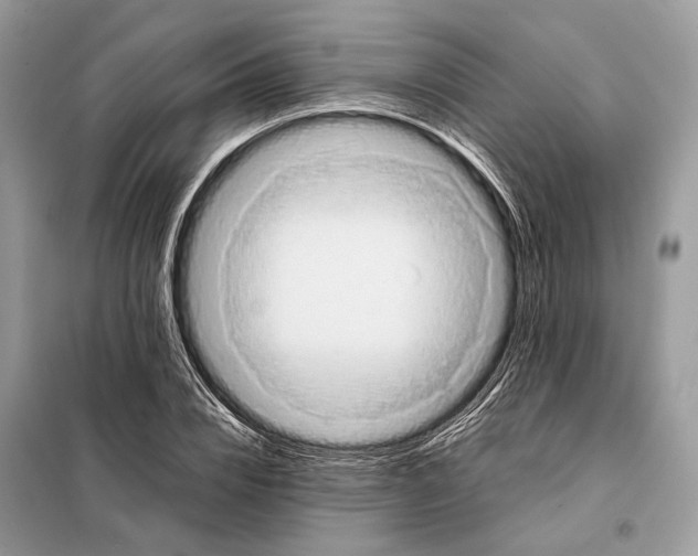 X0000098080832200805021019
