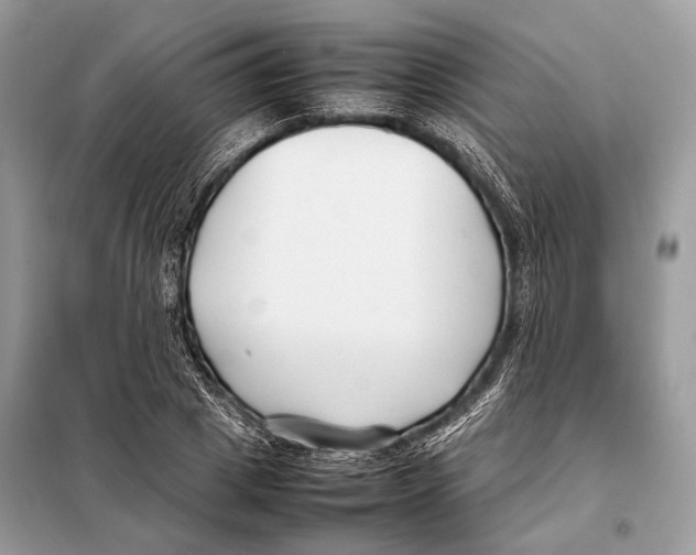 X0000098080833200805021019