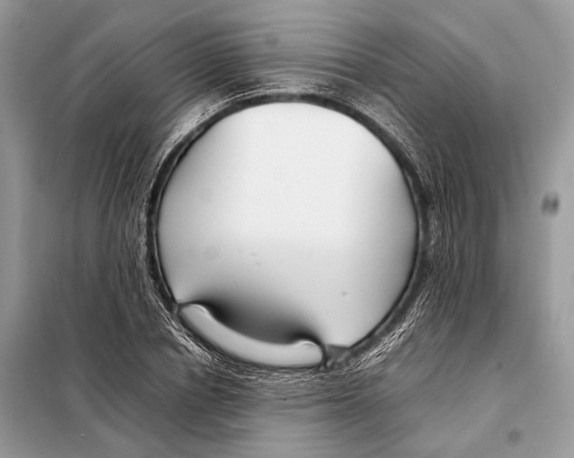 X0000098080834200805021019