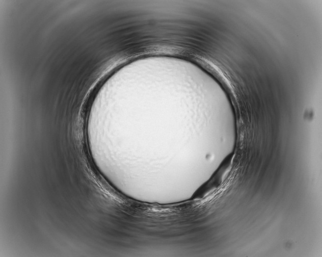 X0000098080835200805021019