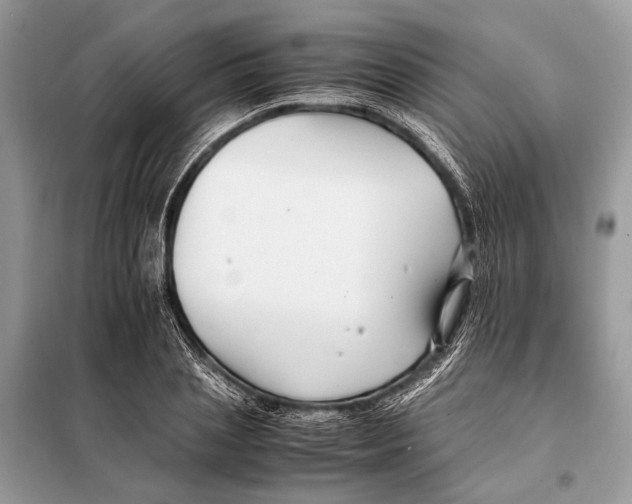 X0000098080837200805021019