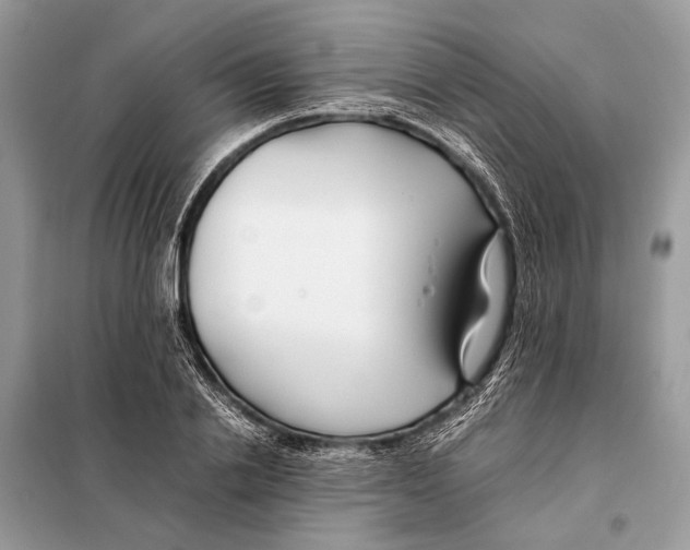 X0000098080838200805021019