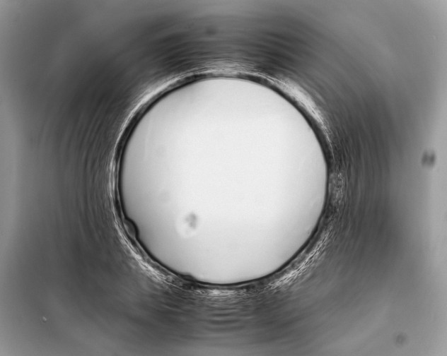 X0000098080839200805021019