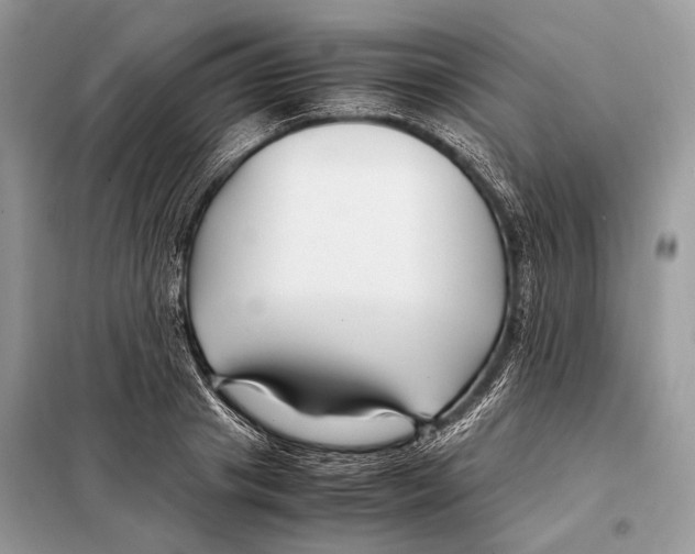 X0000098080841200805021019