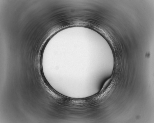 X0000098080843200805021020