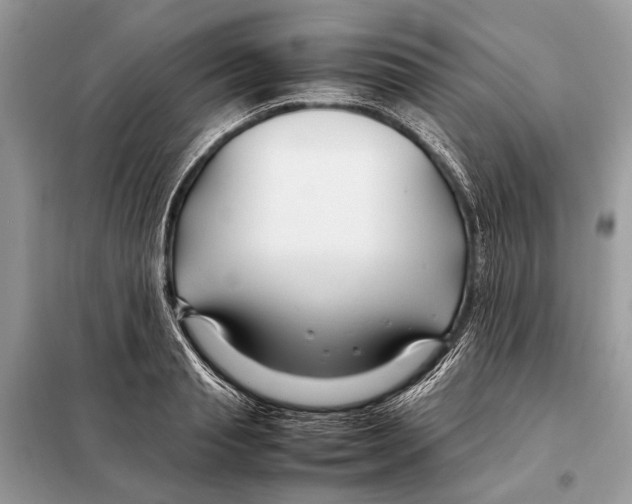 X0000098080845200805021020