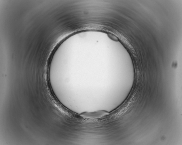 X0000098080846200805021020