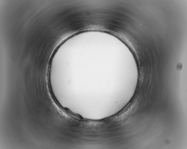 X0000098080847200805021020