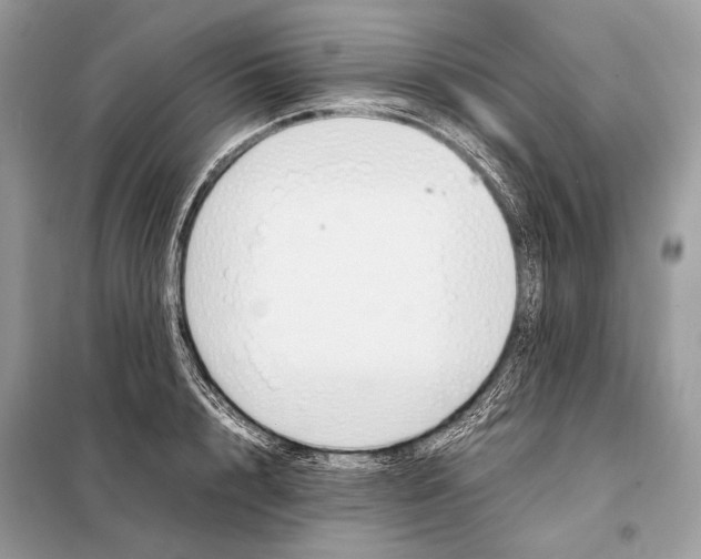 X0000098080848200805021020