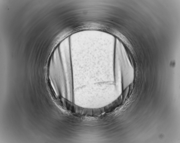 X0000098080850200805021020