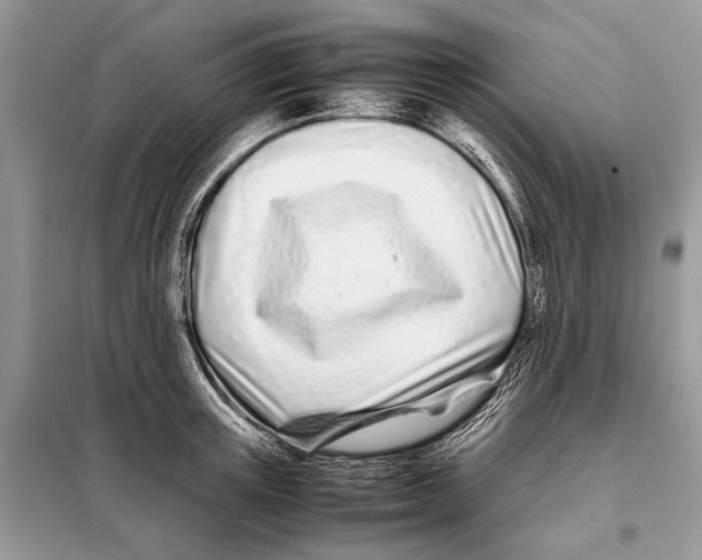 X0000098080851200805021020