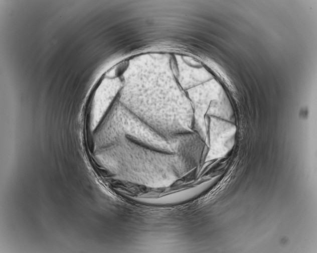 X0000098080854200805021020