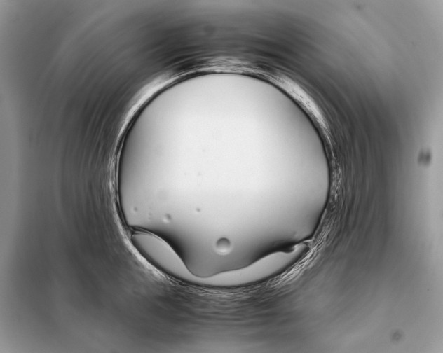 X0000098080855200805021020