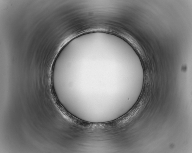 X0000098080858200805021020