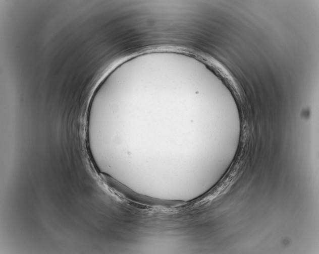 X0000098080860200805021020