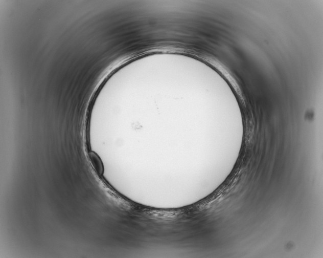 X0000098080861200805021020