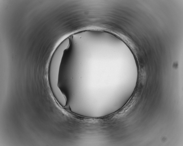 X0000098080862200805021020