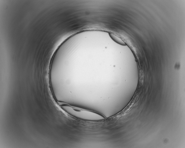 X0000098080863200805021020