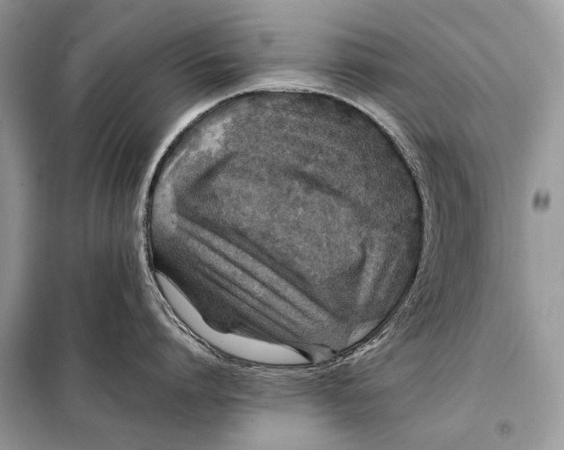 X0000098080864200805021020