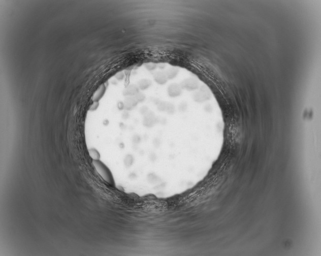 X0000098080865200805021019